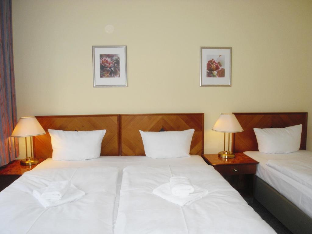 Amadeus Hotel 2*